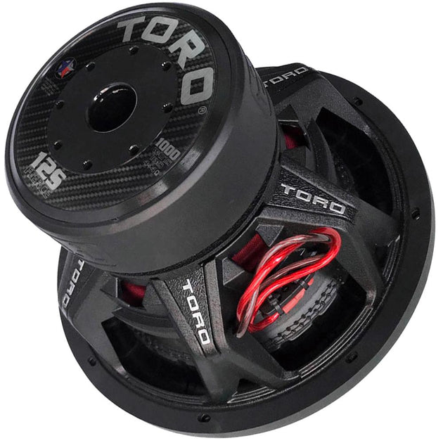 Dual 12 inch subwoofer 1000 watt top